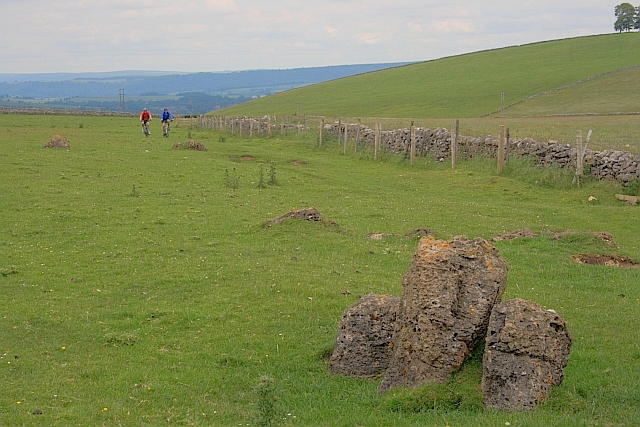 Limestone Outcrop in a Field on Gratton Moor
