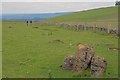 SK1860 : Limestone Outcrop in a Field on Gratton Moor by Mick Garratt
