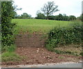 Field on the north side of Beiligwern Farm buildings