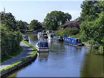 SD4845 : Lancaster Canal, Garstang by David Dixon