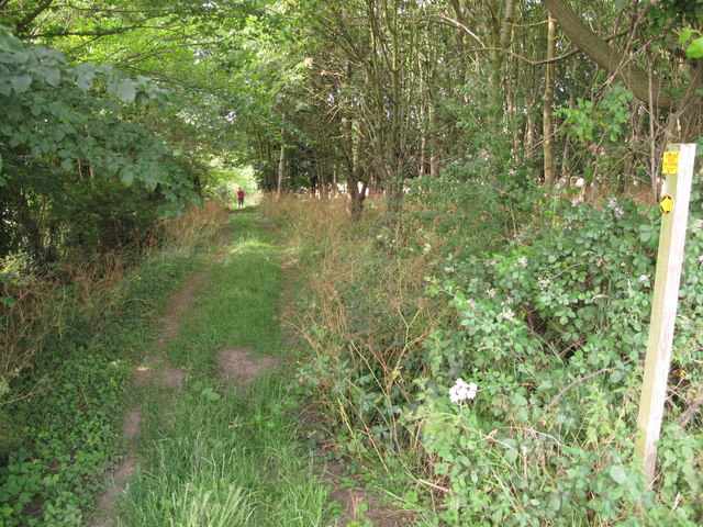 Footpath between Hawstead Church and Pinford End