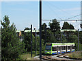 TQ3567 : Tram approaching Arena stop by Stephen Craven