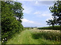 View east along the byway, with free-range chicken run