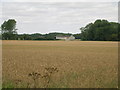 Farmland, Rennison