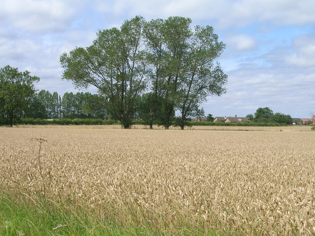 Farmland near Brigg