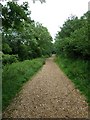 Mid summer at Quarr Abbey (25)