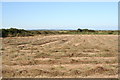 Hay field at Little Trethevas