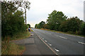 The A46