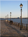 SJ3389 : Lampposts by the Mersey by John S Turner