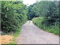 Footpath to Hyde Mill Farm via Great Cutts Farm