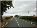 The mast on Gallows Hill