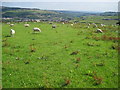 Footpath towards Broadfield Farm near Slaithwaite