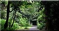 Path, Ballymenoch Park, Holywood
