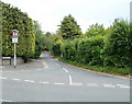 Leafy suburb, Glasllwch Lane, Newport