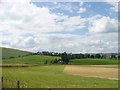 Fields and cottages near Bamflatt