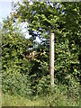 Footpath to Boulge Road