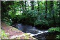 The River Fowey at Trago Mills