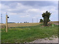 Footpath to Boulge Road