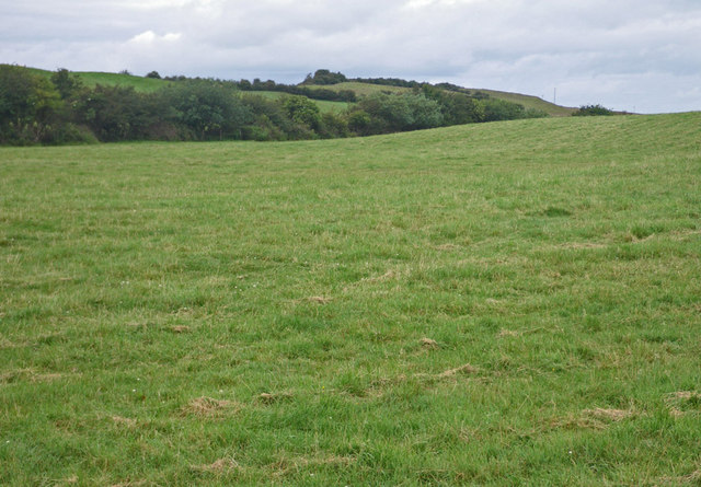 Rising ground grassland with wooded... © C Michael Hogan :: Geograph ...