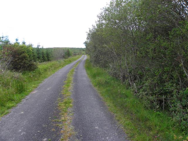 Road at Drumrainy
