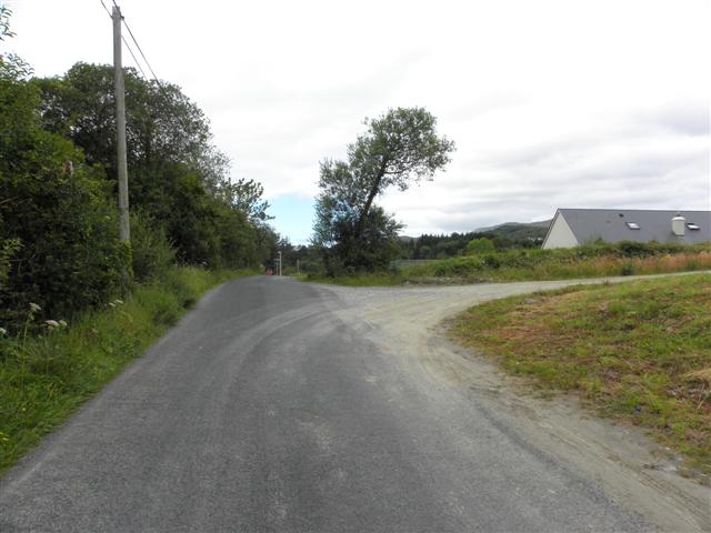 Road at Carricknagore