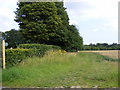 TM2451 : Footpath to Whitehouse Farm & Elmtree Cottage by Geographer