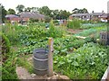 Allotments, Starbeck