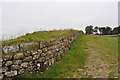 NY7567 : Hadrian's Wall by Ashley Dace