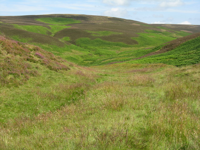 Bank and ditch at White Castle hill fort