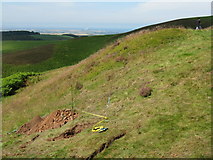 NT6168 : White Castle Iron Age hill fort by M J Richardson