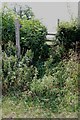 Footpath, Upper Haughton House