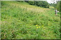 Footpath at Lower Chedworth