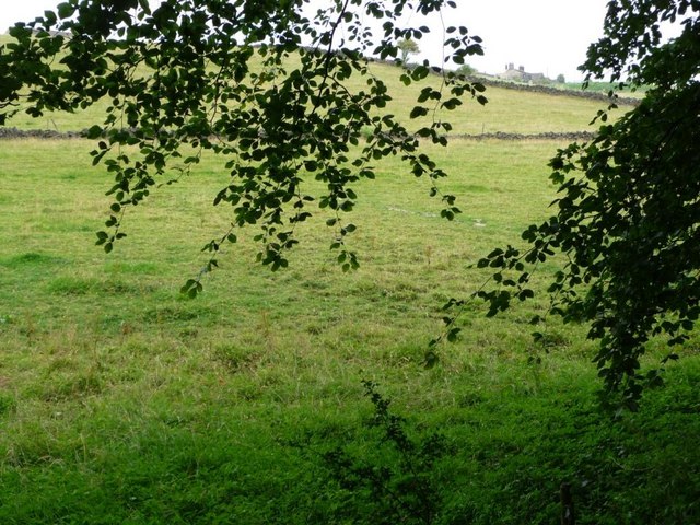 Woodside Farm and fields, from the woods