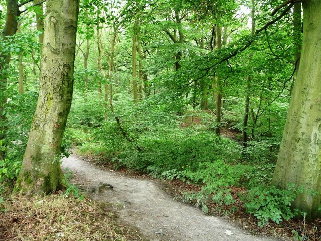 Path at the former Wood Colliery, Judy Woods