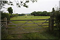 Gate into a field off Clee Hill Road