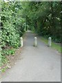 Path running due south from Ringwood Road