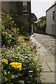 Bow Lane flowers, Durham