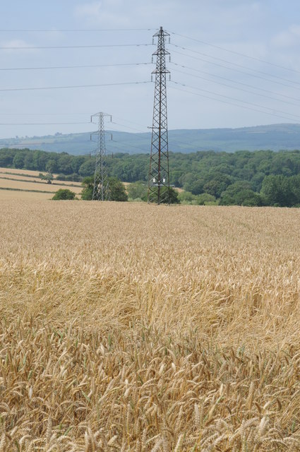 Pylons in wheatfields