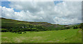 Pasture and hillside near Ysbyty Cynfyn, Ceredigion