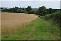 SO5771 : Wheatfield near Greete by Philip Halling