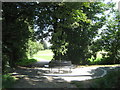 Tree bench in Goddington Park