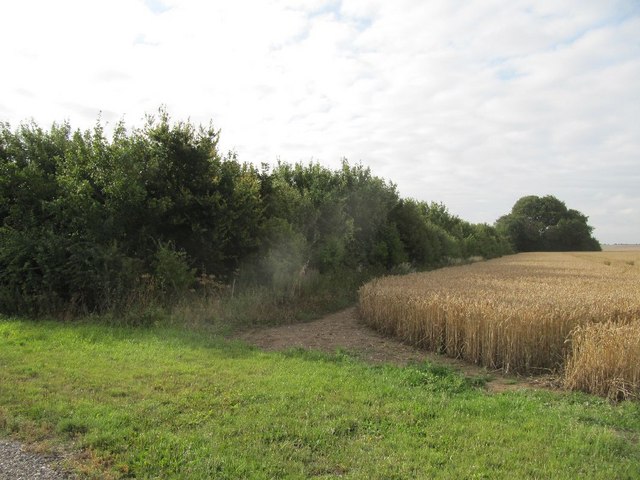 Corner of a field