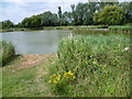 Stone Marsh Angling Club lake