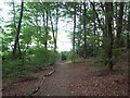 Entrance to Parkbank Wood, Greenhill