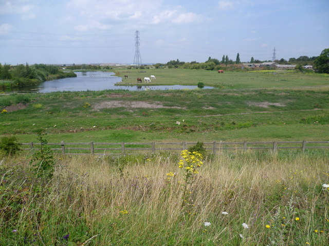 Dartford Marshes from University Way © Marathon cc-by-sa/2.0 ...