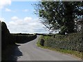 Well trimmed field hedges at Struell House Farm