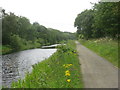 The Forth & Clyde Canal at Carmuirs