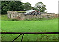 Farm buildings at Fron Goch