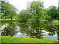 Pond at the Foss Bridge Inn