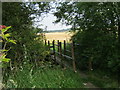 Stand Bridge over Coalford Beck